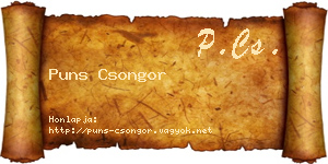 Puns Csongor névjegykártya